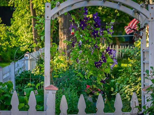 backyard garden uae stanaza